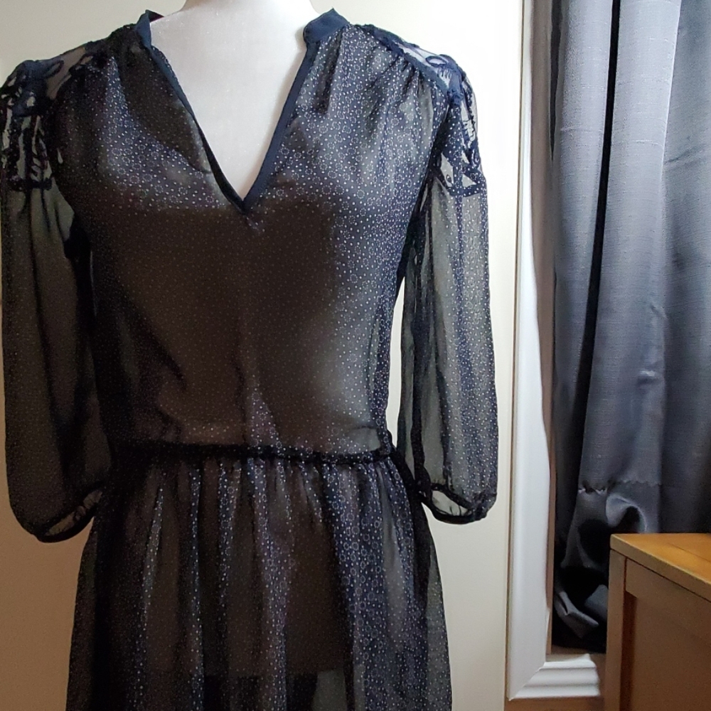 Pins and needles sheer dress - Picture 6 of 10